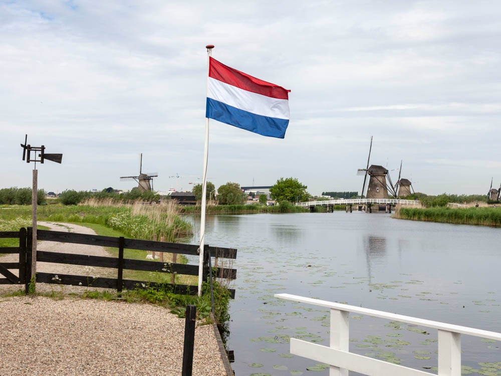 Make a tour from Amsterdam to Kinderdijk and The Hague